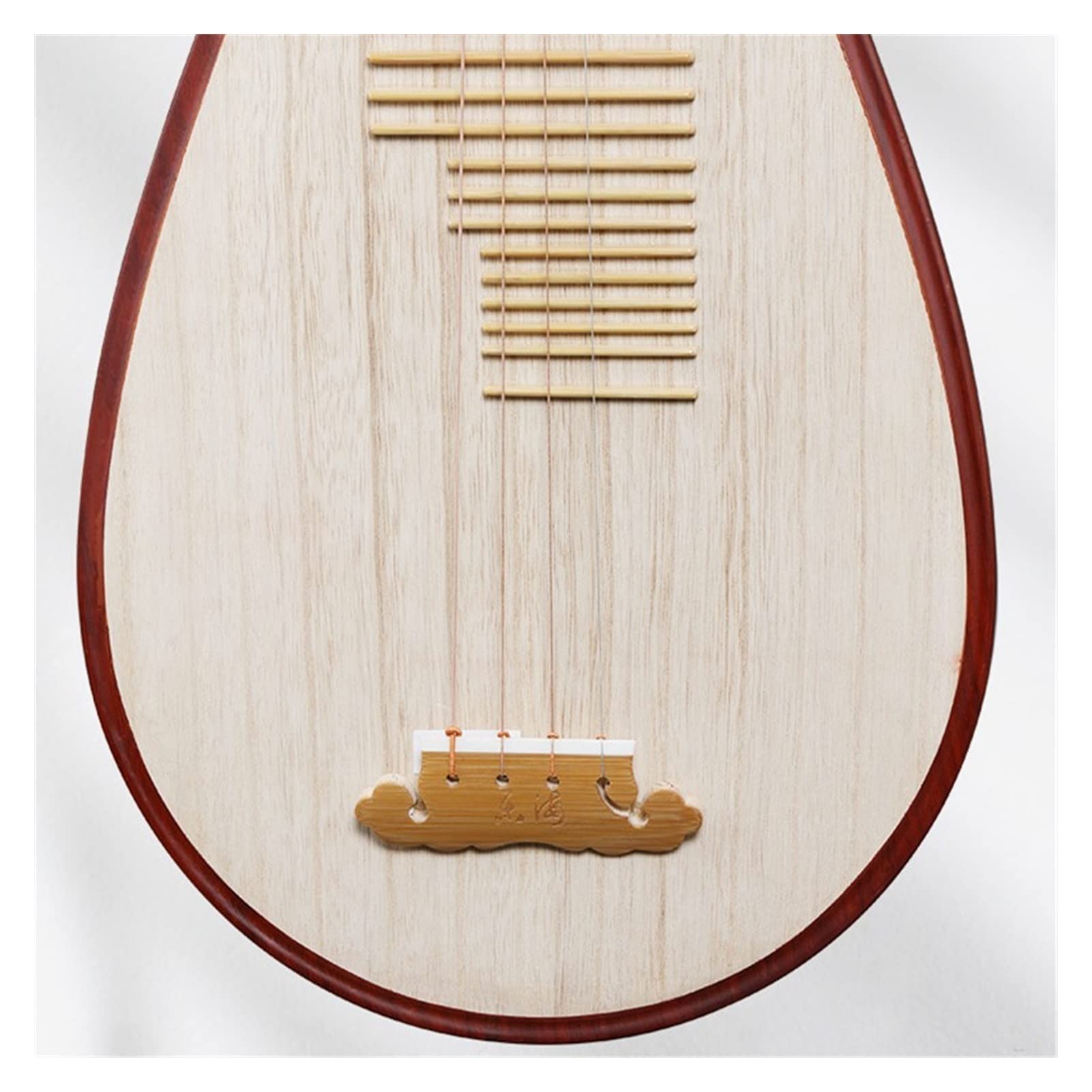 Amazon.co.jp: 大人のPiPa 子供のPIPA初心者が小さいPIPA